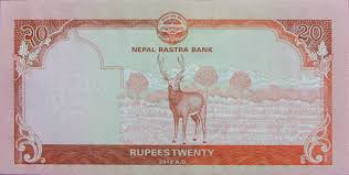 Rs 20 nepal rastra bank unc condition - Collection Bazzar
