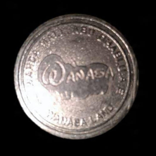 Wanasa Token Coin Wanasa Land Amusement Park Token - Collection Bazzar