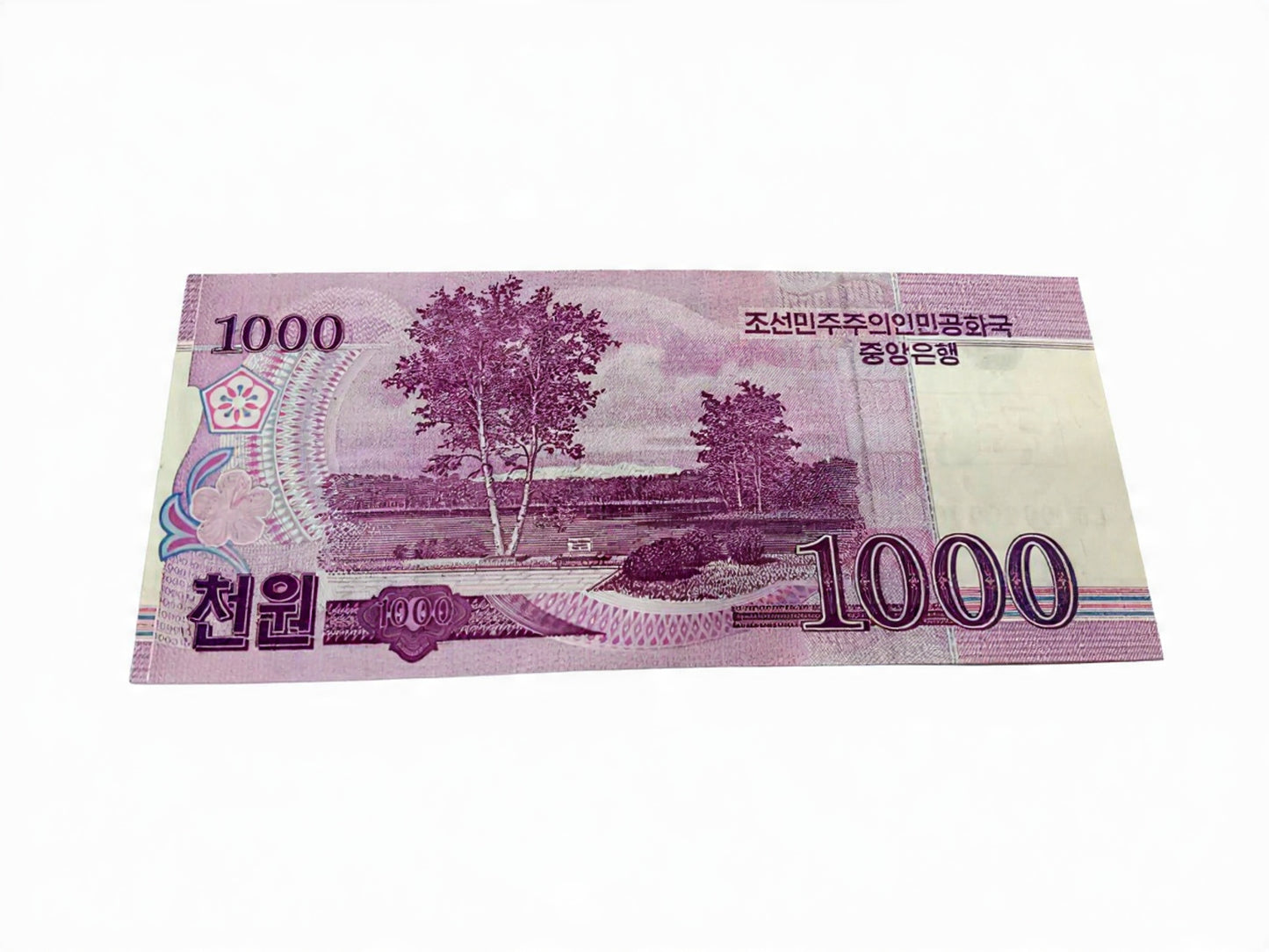 1000 Won Specimen Note North Korea Extremely Rare Collectible - Collection Bazzar