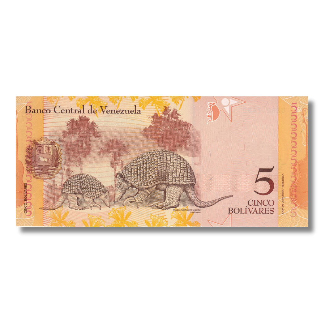 5 Bolivares Venezuela unc condition - Collection Bazzar