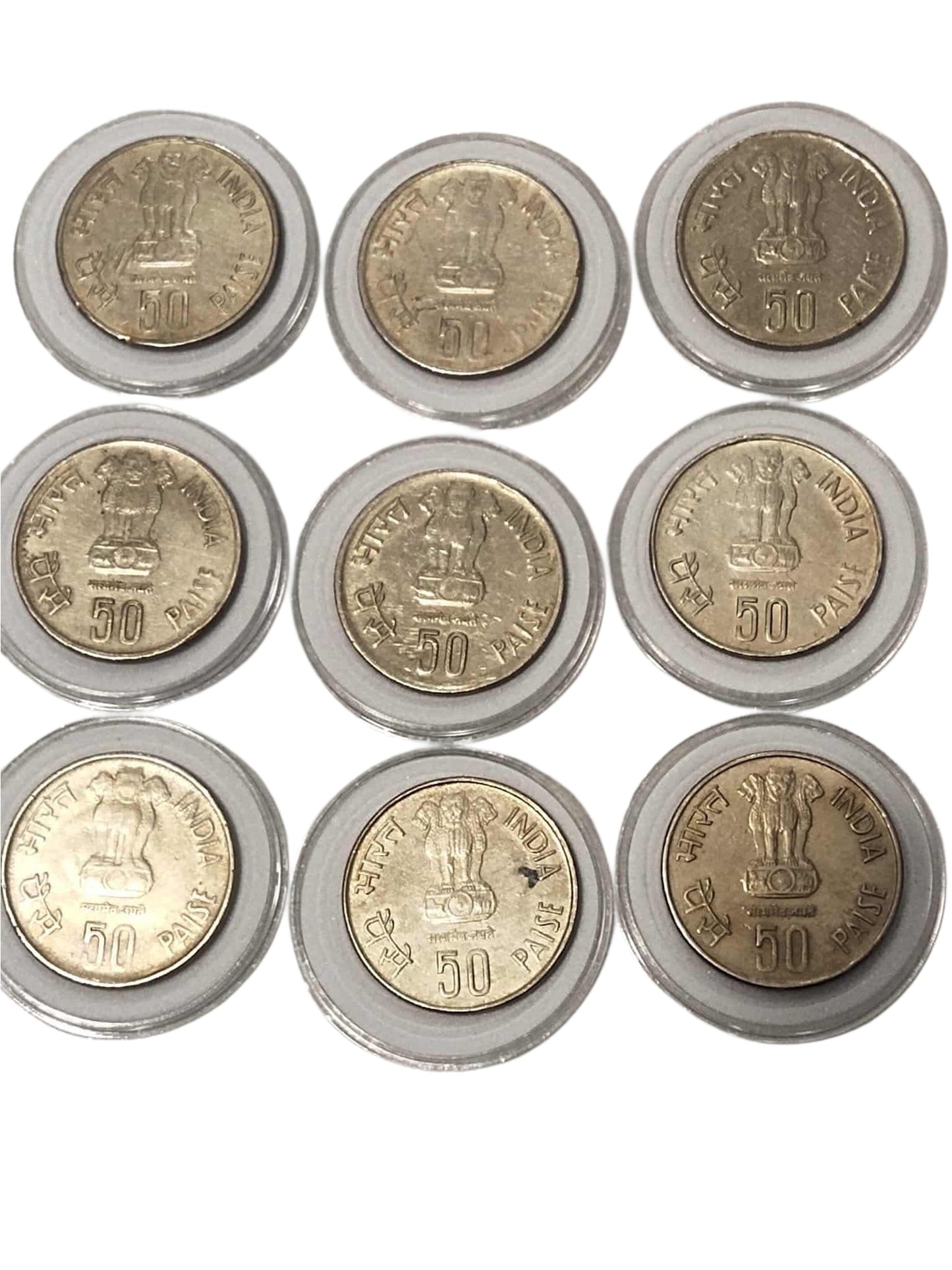 50 paisa Fisheries