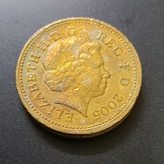 One Pound Coin Elizabeth II D.G.Reg F.D 2005 Year - Collection Bazzar