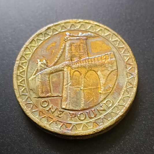 One Pound Coin Elizabeth II D.G.Reg F.D 2005 Year - Collection Bazzar