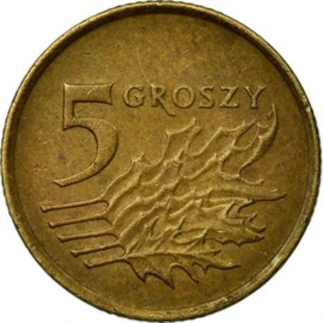 5 Grozy Poland Coin - Collection Bazzar