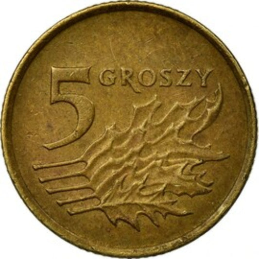 5 Grozy Poland Coin - Collection Bazzar