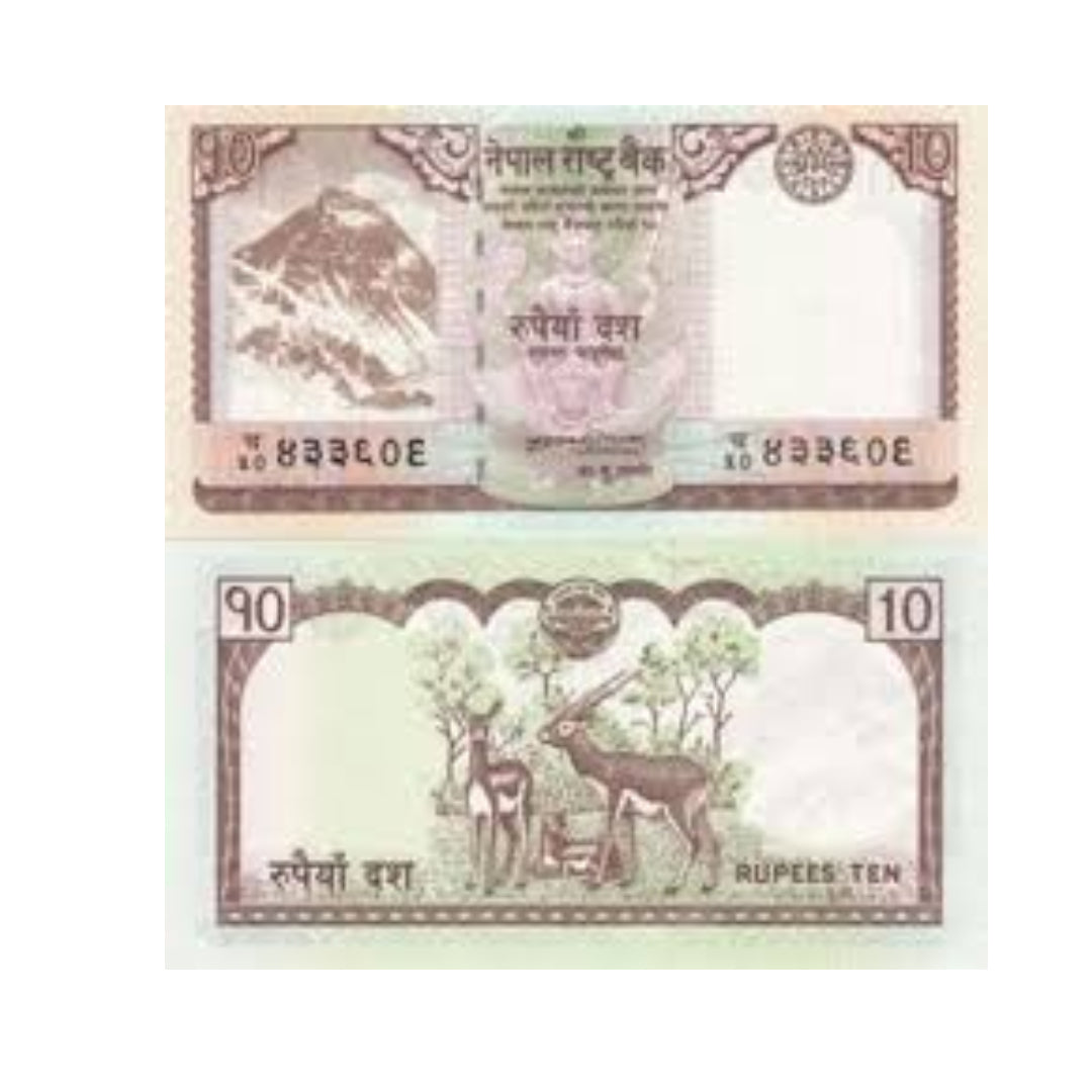 Rs 10 nepal rastra bank unc condition - Collection Bazzar