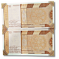 Rs 10 Indian Bank Note – One Side Printed, One Side Blank – Gem UNC Condition | Each Note - 4999