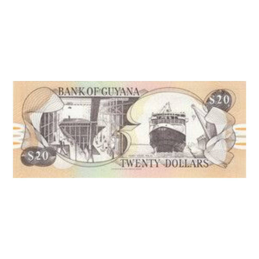 Guyana 20 Dollars Banknote On Back Kaieteur Falls