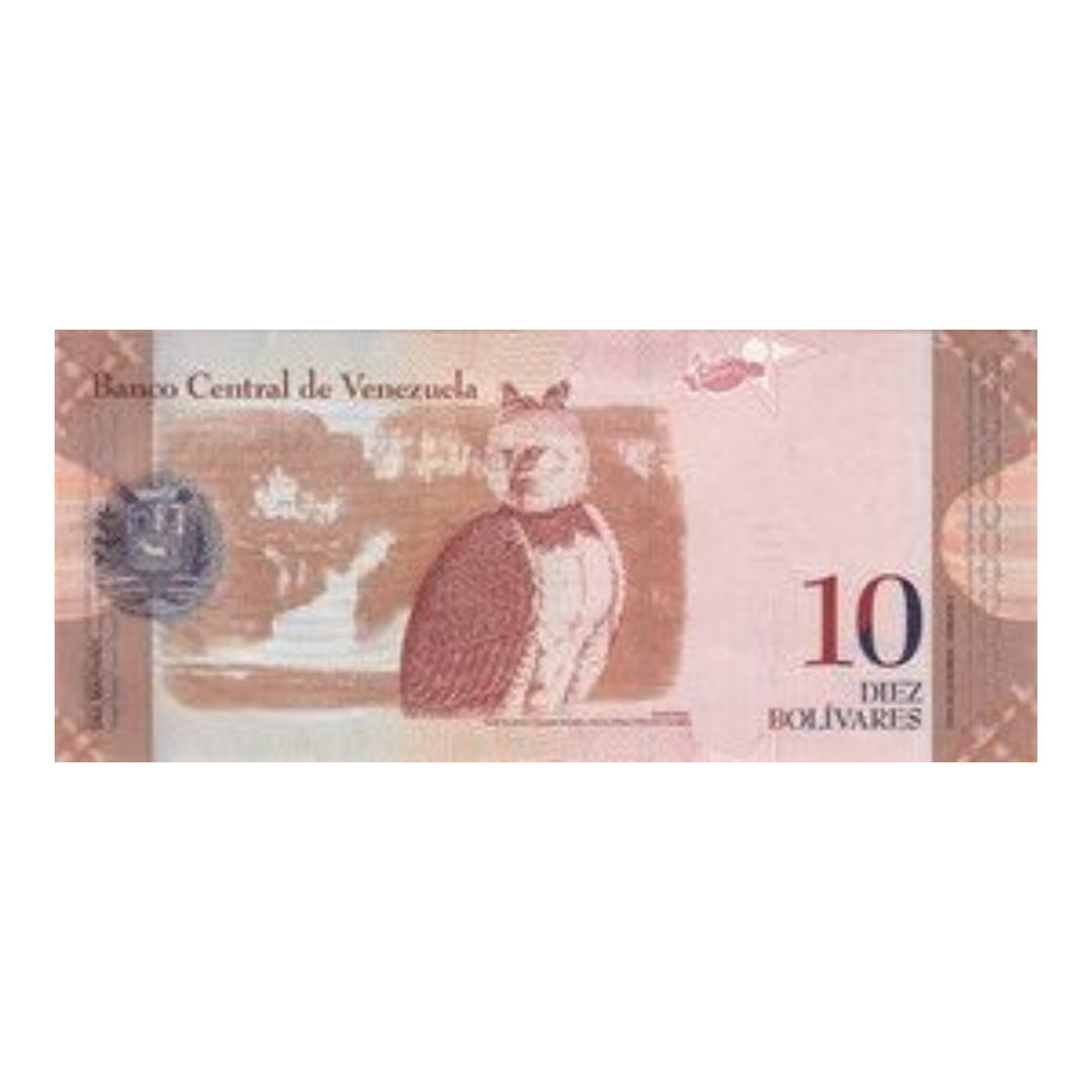 Venezuela 10 Diez Bolivares Banknote Banco Central de Venezuela - Collection Bazzar