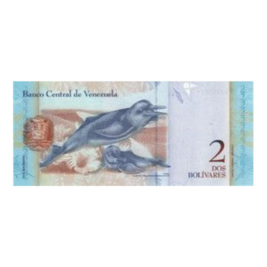 Venezuela 2 Dos Bolivares Banknote Banco Central de Venezuela - Collection Bazzar