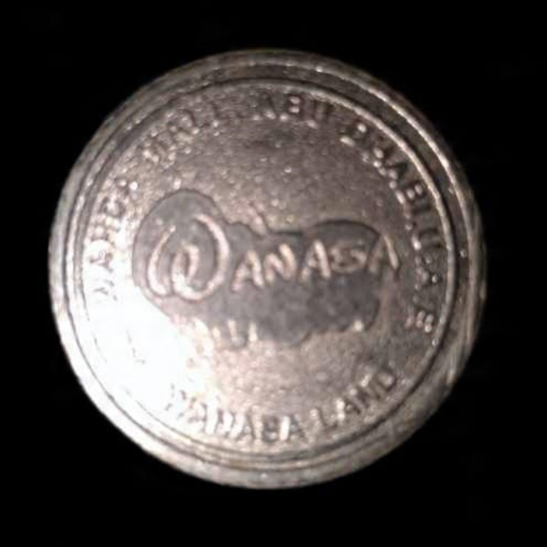 Wanasa Token Coin Wanasa Land Amusement Park Token - Collection Bazzar